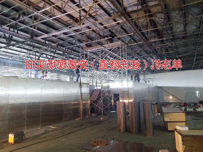 Quick-freezing tunnel of agricultural products and installation of ten thousand tons cold storage